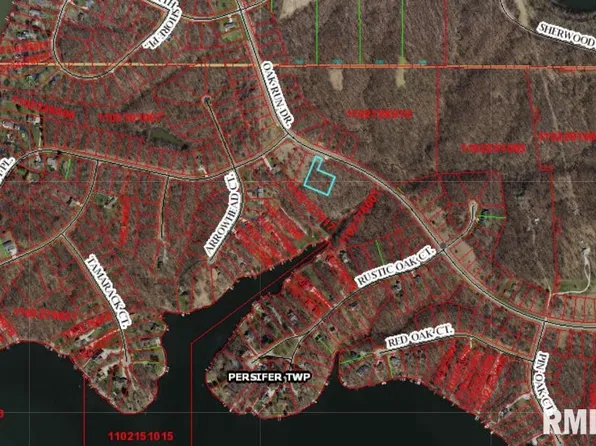 6031 Oak Run Dr, Dahinda, IL 61428