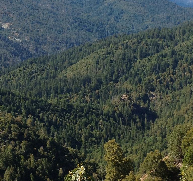 1st image of 90 Ac Supply Creek Rd