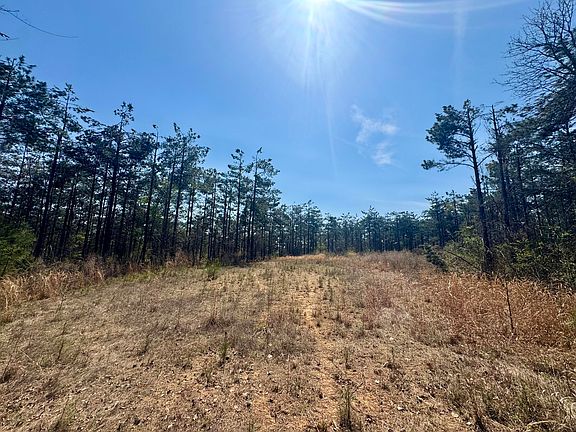 5th image of 231 County Rd