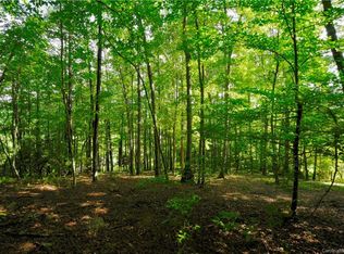 24 Bear Flower Trl #43, Arden, NC 28704