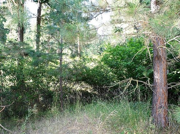 3rd image of 15310 Martin Christensen Dr