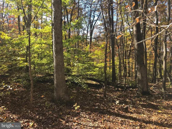 Cliff Ln, Bluemont, VA 20135