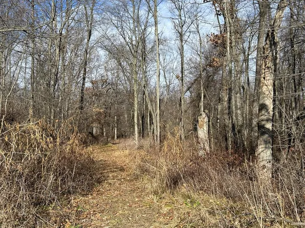 Fowle Rd, Jonesville, MI 49250