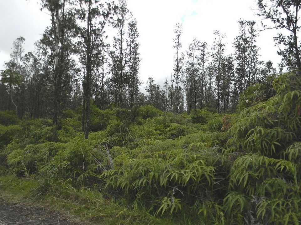1st image of Road 7 Opeapea Lot 4621