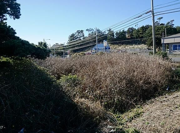5th image of 722 NE Highway 101
