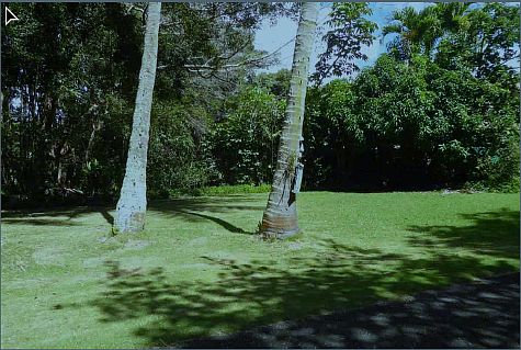BEAUTIFUL  SECLUDED  LOT   