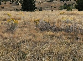 Buckhorn Lane Id #TAX-00016971, Butte, MT 59701