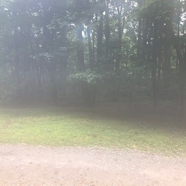 233 Settlers Point Rd, Fountain Run, KY 42133 Zillow