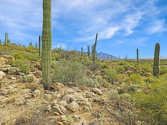 5th image of 1805 Tortolita Mountain Cir #500