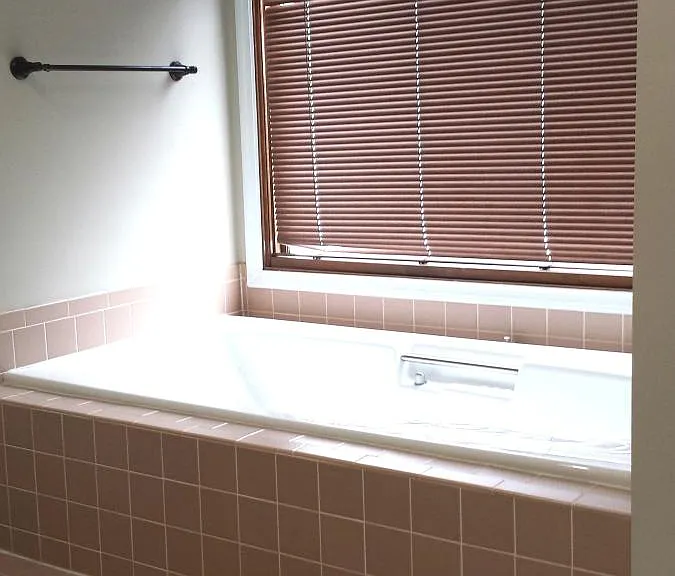 Master Bath Jacuzzi Tub
