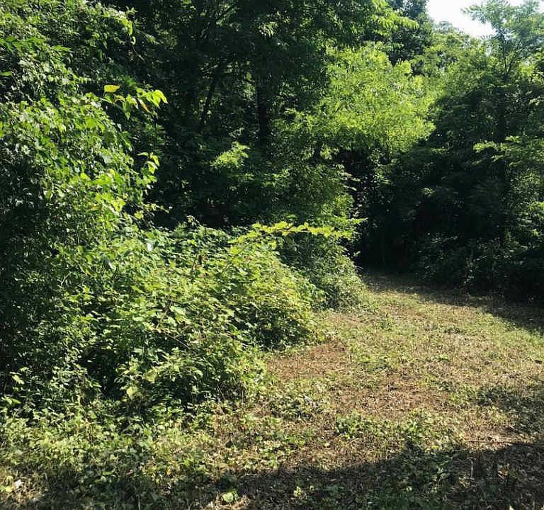 2nd image of Edgemont Rd