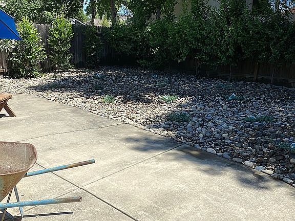 7/2020: East facing backyard