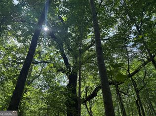 5245 Veal Rd, South Fulton, GA 30213