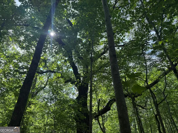 5245 Veal Rd, South Fulton, GA 30213