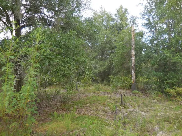 0 NE 107th Ter, Archer, FL 32618