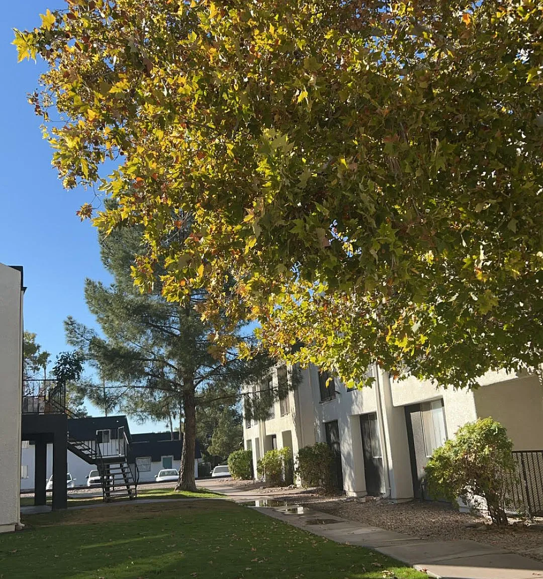The Quails Apartments — Photo 4