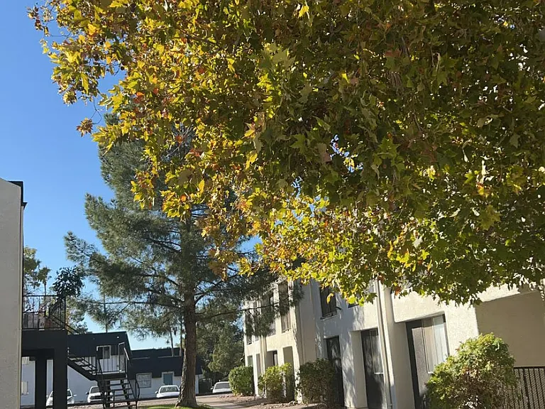 The Quails Apartments — Photo 4