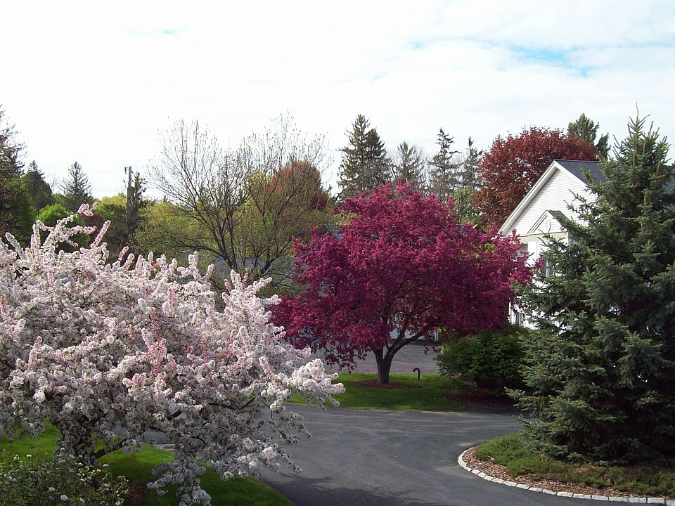 Spring time view from condo