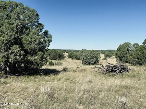 LOT-293S W North Flaming Star Dr, Seligman, AZ 86337