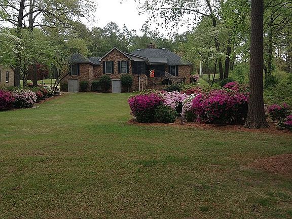 Azaleas and dogwoods 
