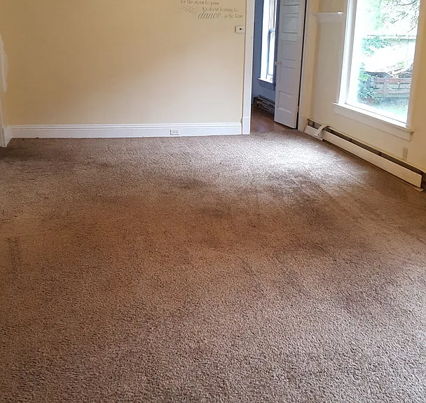 815 McIntosh St — Photo 3