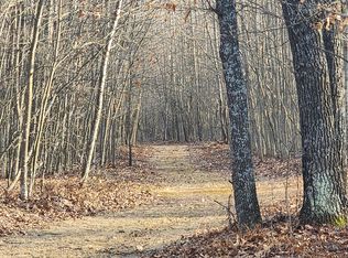 0 E Kirche In The Woods Dr, Spruce, MI 48762