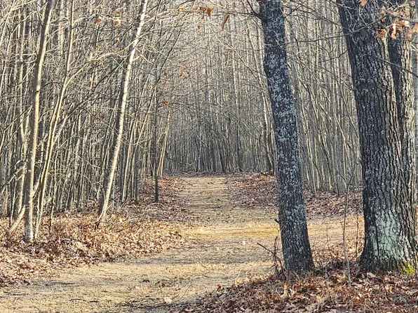 0 E Kirche In The Woods Dr, Spruce, MI 48762