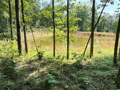 (Undisclosed Address), Witts Springs, AR, 72686