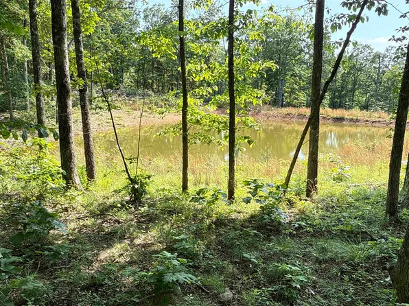 (undisclosed Address), Witts Springs, AR 72686