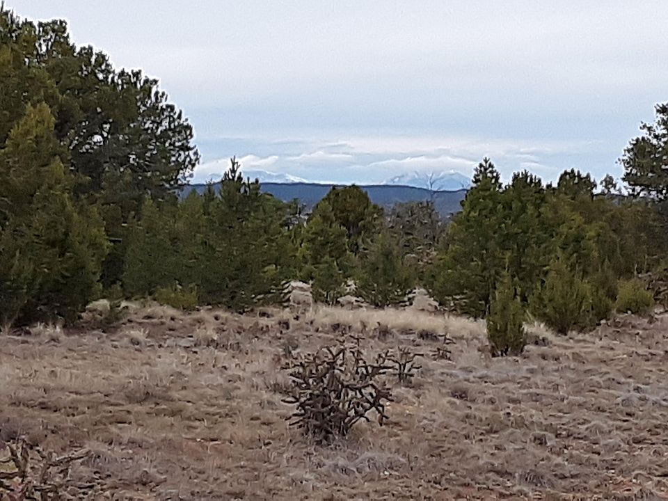 1st image of 13245 Rubia Ct