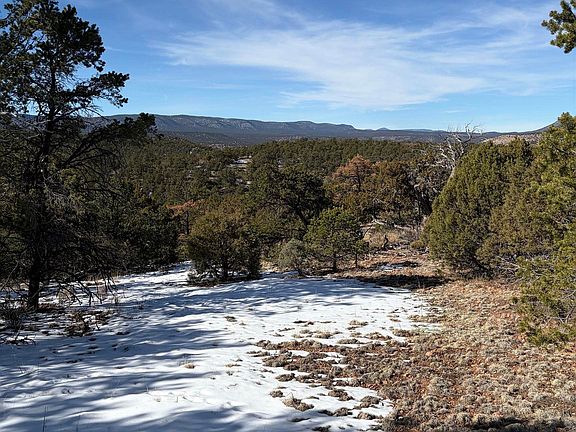 3rd image of 63 Horse Peak Trl
