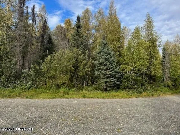 49543 S Roosevelt Rd, Willow, AK 99688