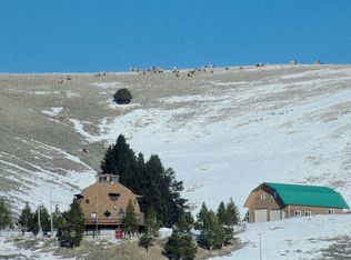 #90 Upper Willow Creek Rd, Philipsburg, MT 59858