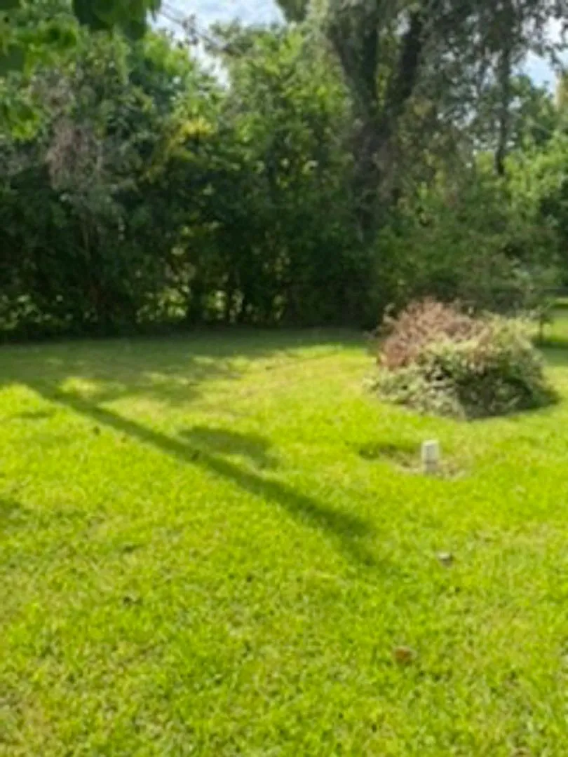 4 bedroom Single Family Home with yard — Photo 3