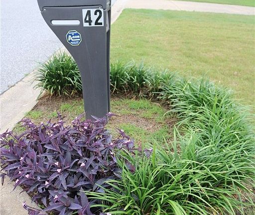 2nd image of 42 Lincolnshire Ln