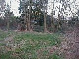 1st image of 6217 208th St SW