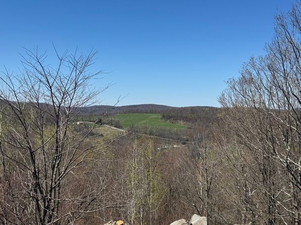 1229 & 1253 Trim St, Windsor, NY 13865