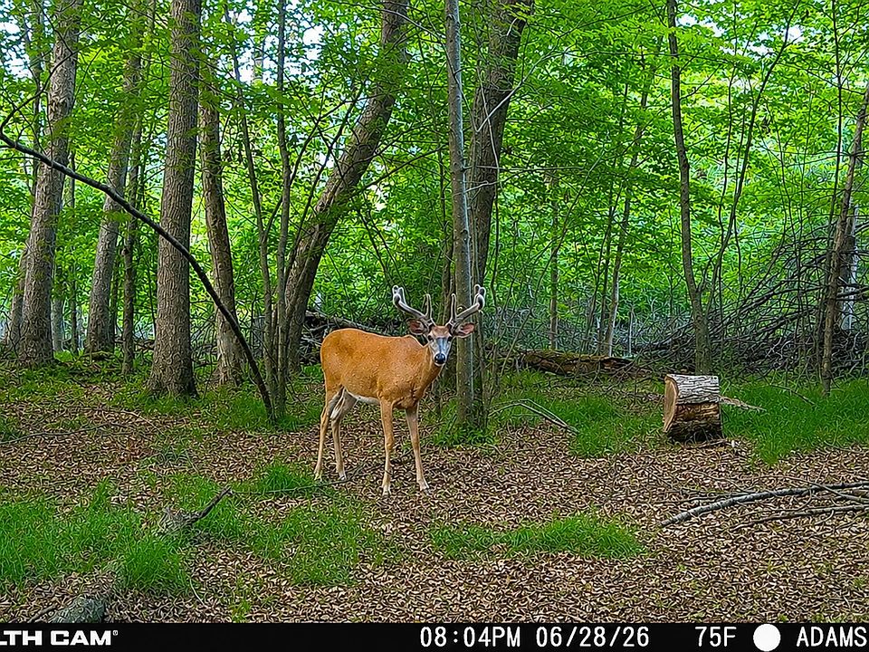 1st image of Dover Dr