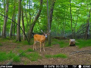 Dover Dr, Adams, WI 53910