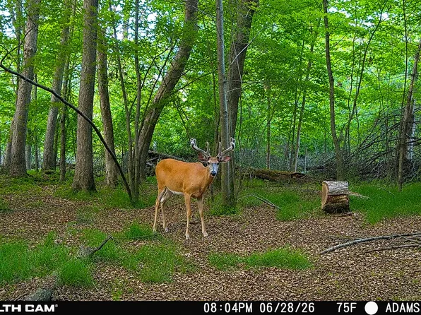Dover Dr, Adams, WI 53910