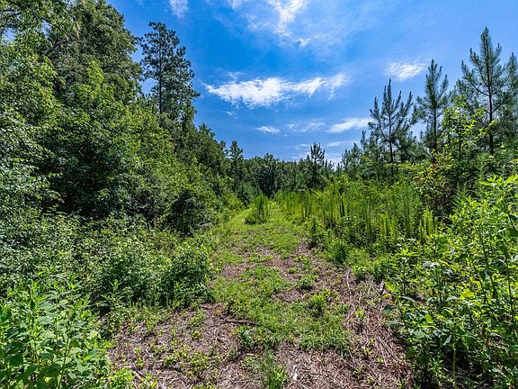 5th image of 0 Blacks Mill Rd