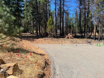 42 Cheney St, Greenville, CA, 95947