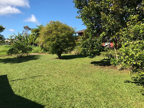Backyard w/fruit trees