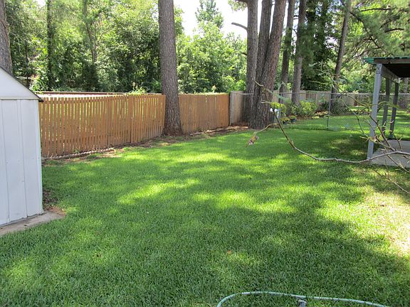 Beautiful backyard