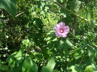 341 Onteora Blvd, Asheville, NC 28803