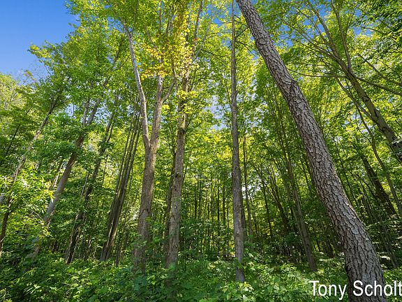 4th image of 5184 Blendon Woods Ct #11