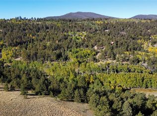 539 Tapedero Road LOT 600, Hartsel, CO 80449