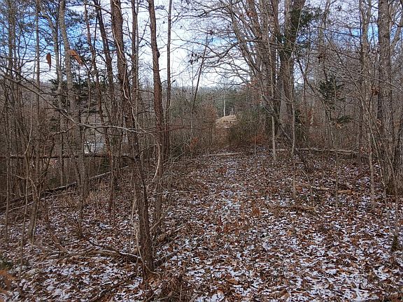 4th image of 617 Walk Log Br