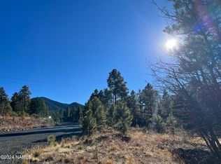 1160 Timbernook Xing #21, Williams, AZ 86046