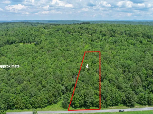 4 Greenwood Ridge Rd, Accident, MD 21520